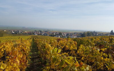 Domaines & Villages